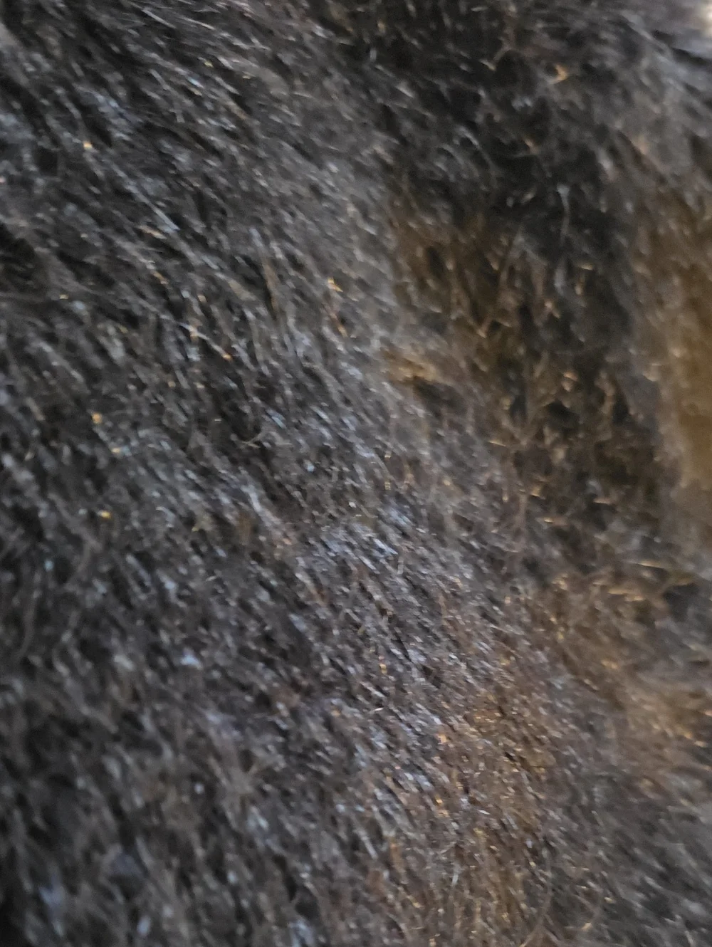 RH Lapin Ultra-Fine Faux Fur Throw